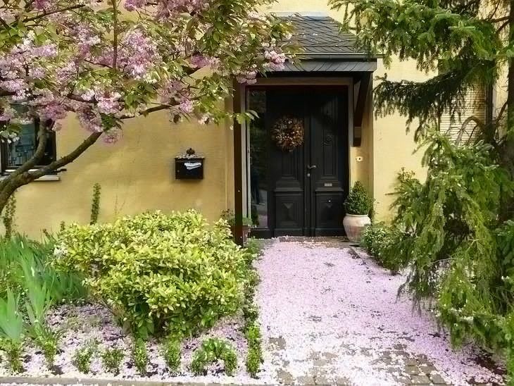 Beautiful home with a cherry tree at the entrance