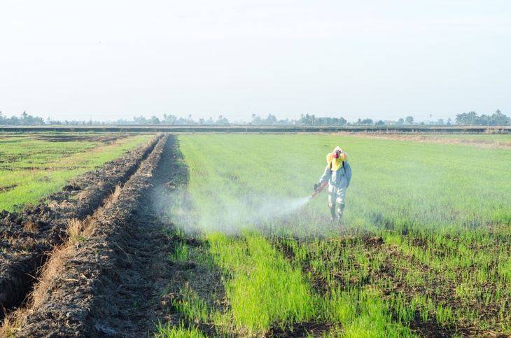 A farmer spraying the field