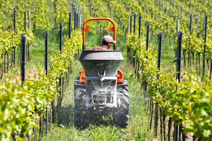 A farmer using a tractor in the well-kept vineyard