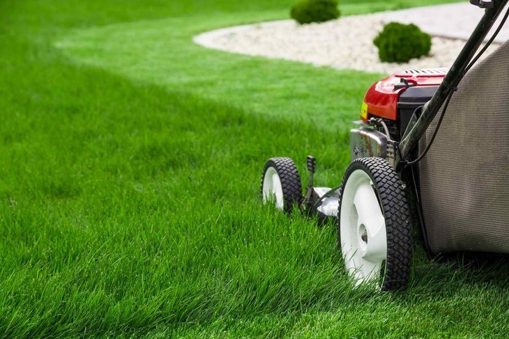 A lawn mower is used to maintain the growth of grasses on the lawn