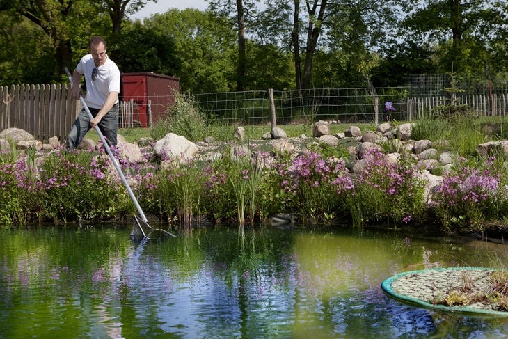 There can be countless of ways in cleaning a pond