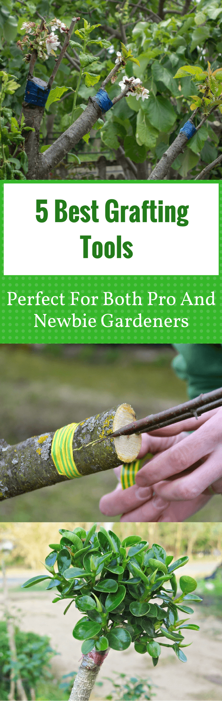 5 Best Grafting Tools Perfect For Both Pro And Newbie Gardeners pin it