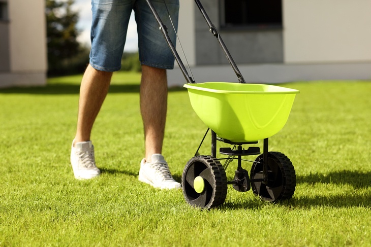 A young man uses a drop spreader to scatter seeds across his lawn.