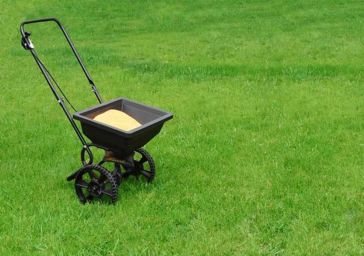 Adding the right amount of fertilizer to your lawn will help grow lush, green grass.
