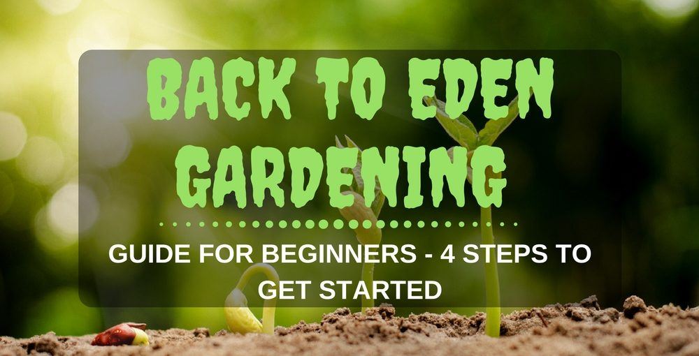 Back To Eden Gardening Method Guide For Beginners with 4 Steps
