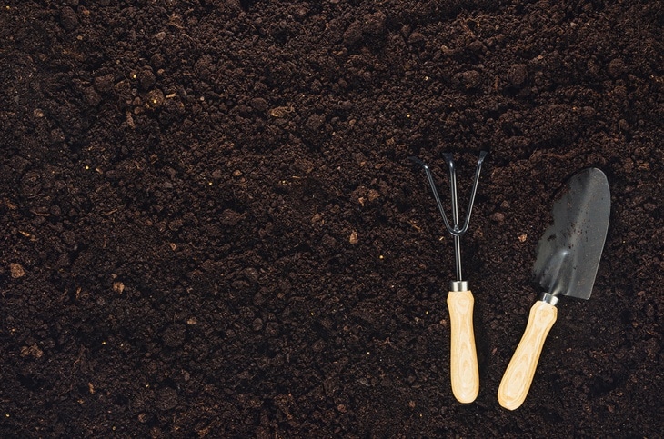 Close up shot of soil on the ground along with a pair of gardening tools (1)