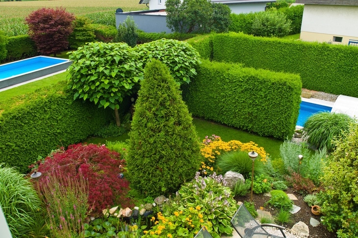 Low-growing shrubs are perfect for front yards.