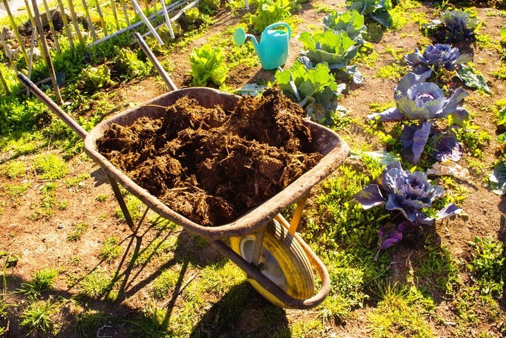 Transport your garden fertilizer in one go using a wheelbarrow