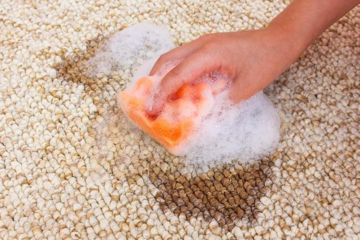 A beige carpet being scrubbed with soap and water