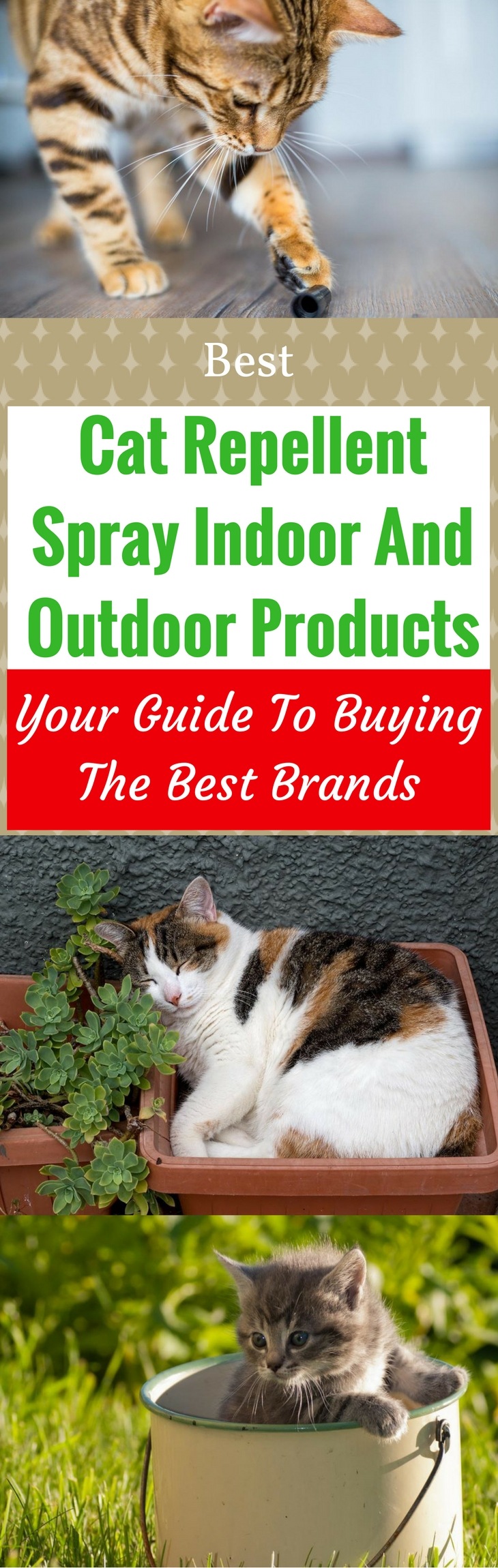 Best Cat Repellent Spray Indoor And Outdoor Products