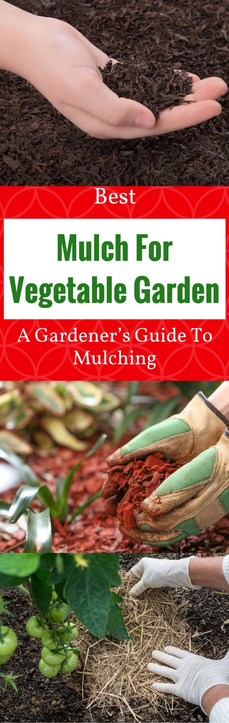 Best Mulch For Vegetable Garden - Pin It