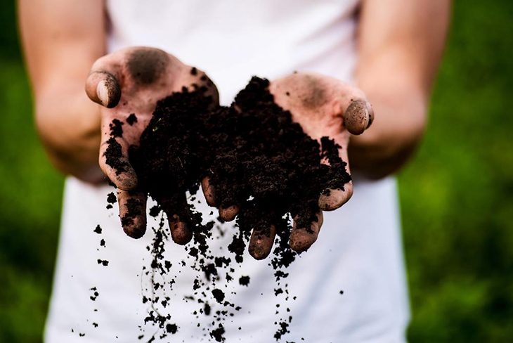 Organic composts are healthy and well-balanced nutrients that are a great addition to your garden soil