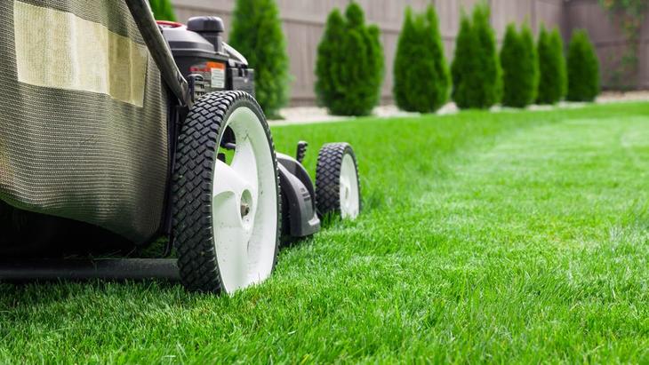 Wait for several days to mow your lawn after spraying herbicide