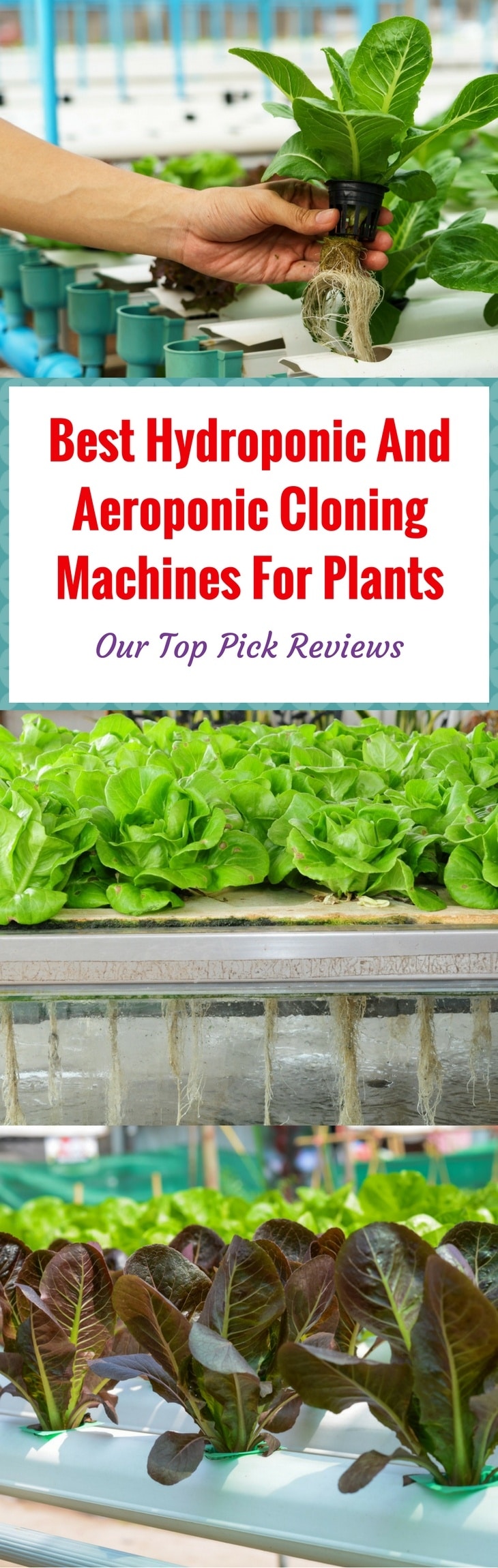 Best Hydroponic and Aeroponic pin itBest Hydroponic and Aeroponic pin it