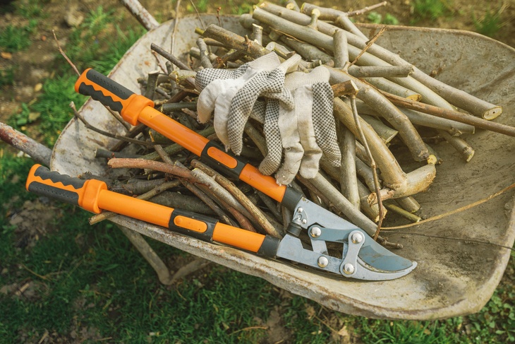 Compound loppers are reliable tools for tough pruning activities