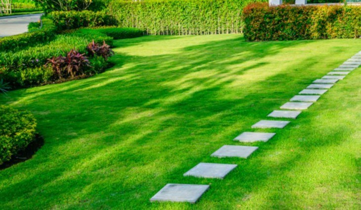 A well-maintained lawn with a beautiful landscape