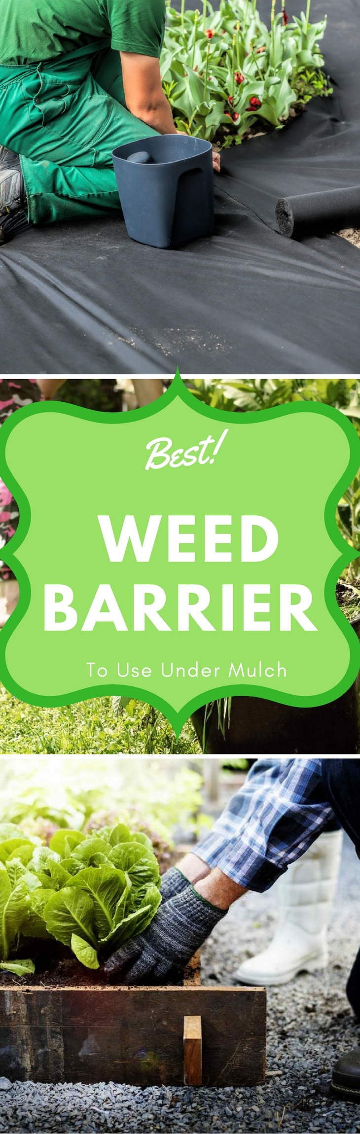 Best Weed Barriers pin it