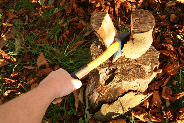 Log splitting is the basic manner of gathering firewood.