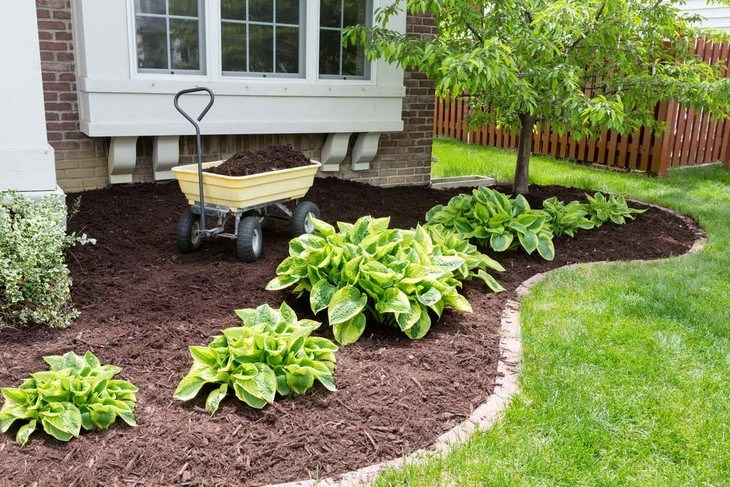 Putting mulch over the patch of your land in your garden is one of the ways to control weed growth in your yard