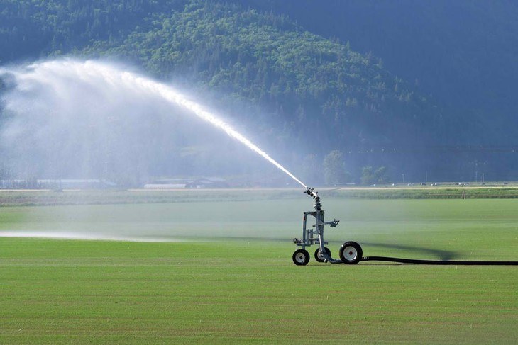 Traveling or walking sprinklers are ideal for large lawns