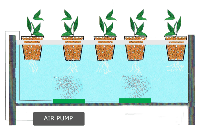 What is the best air pump for hydroponics?