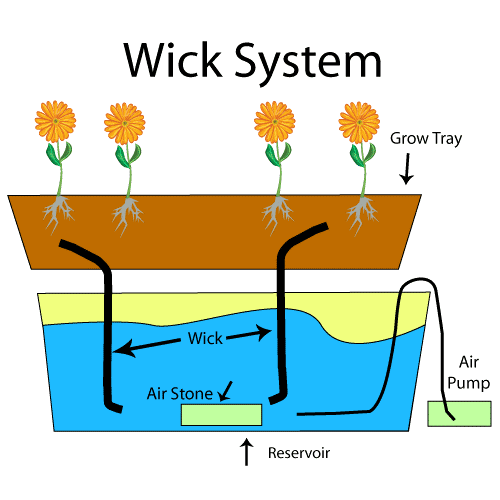 A diagram of the setup of wick method