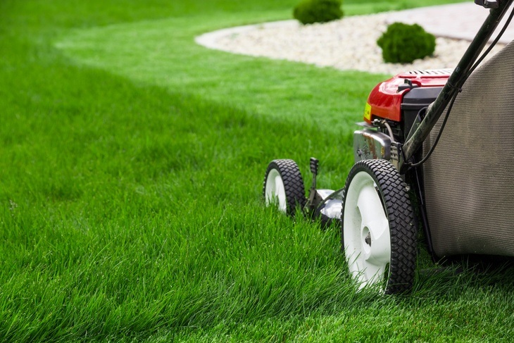Cutting of lawn grass is an important task to maintain cleanliness in the yard