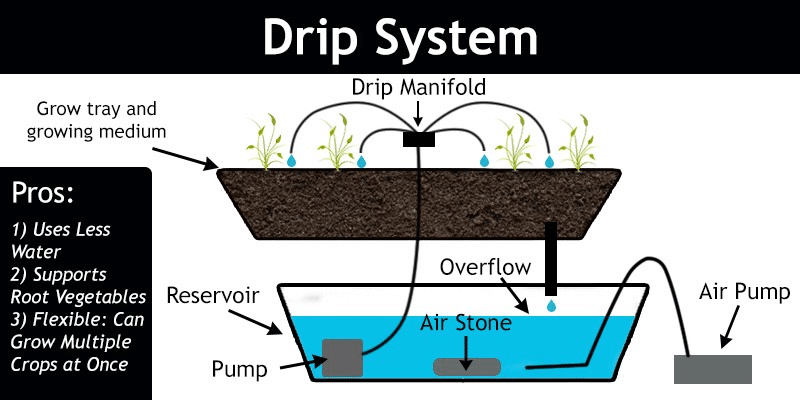 Drip System