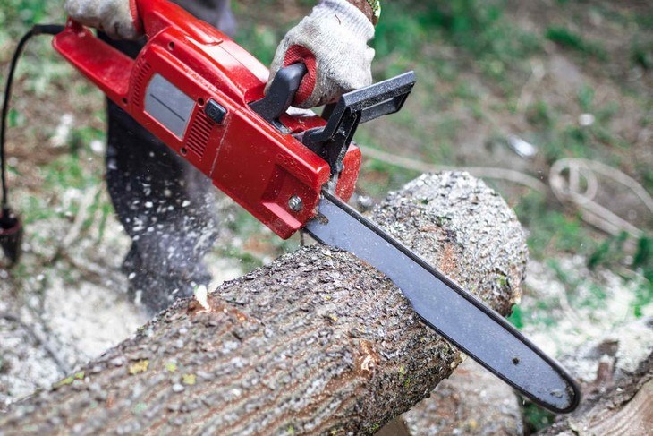Electric chainsaws are lightweight machines designed for tackling light-duty cutting jobs