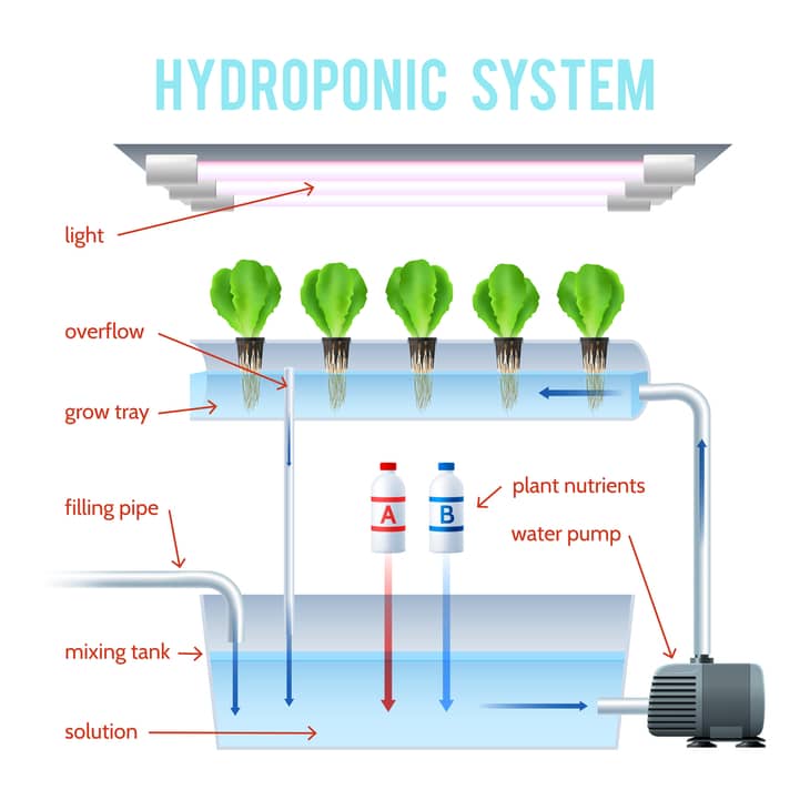 Setting up a large hydroponic system may be difficult, especially for beginners