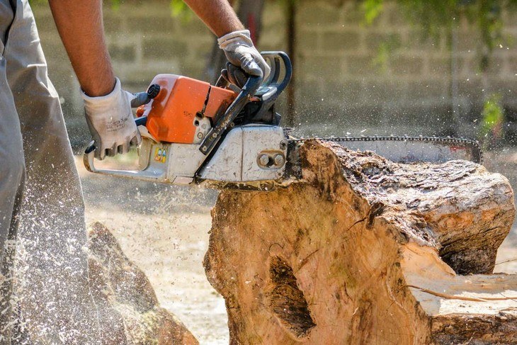 Your choice of a chainsaw will depend on the size of wood you want to cut. Some are designed for light duty cutting while others are for heavy duty jobs