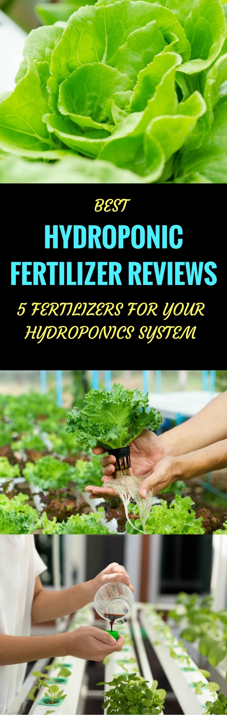 best hydroponic fertilizer pin it