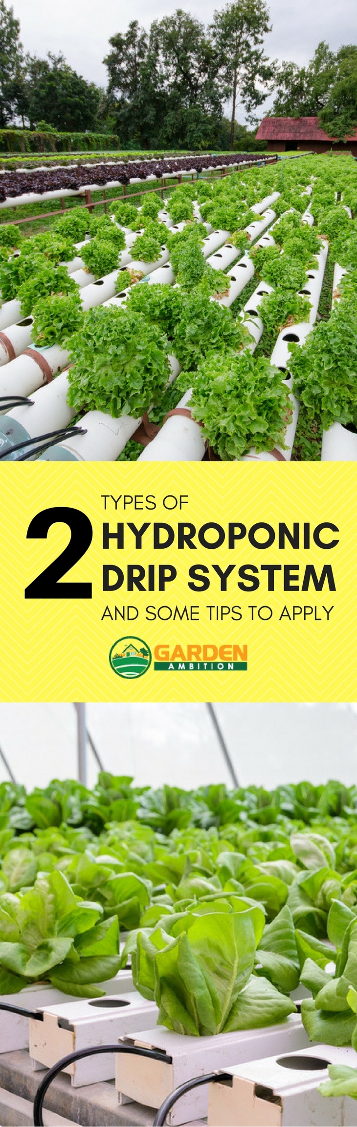 hydroponic drip systems pin it