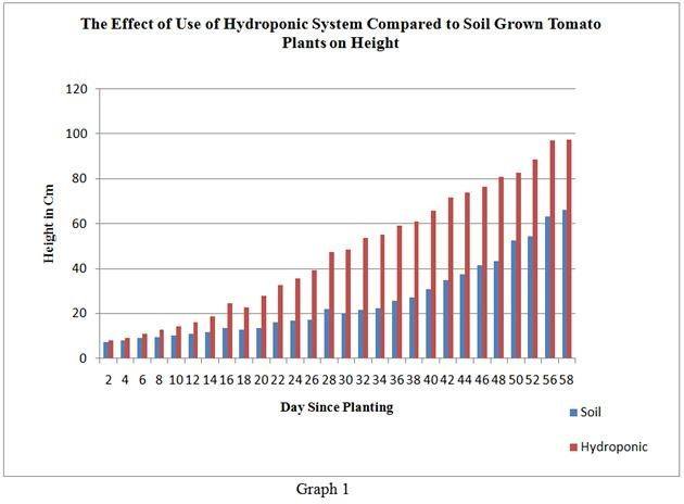 Graph showing a huge difference in the effect of hydroponics versus soil to the height of tomato plants.