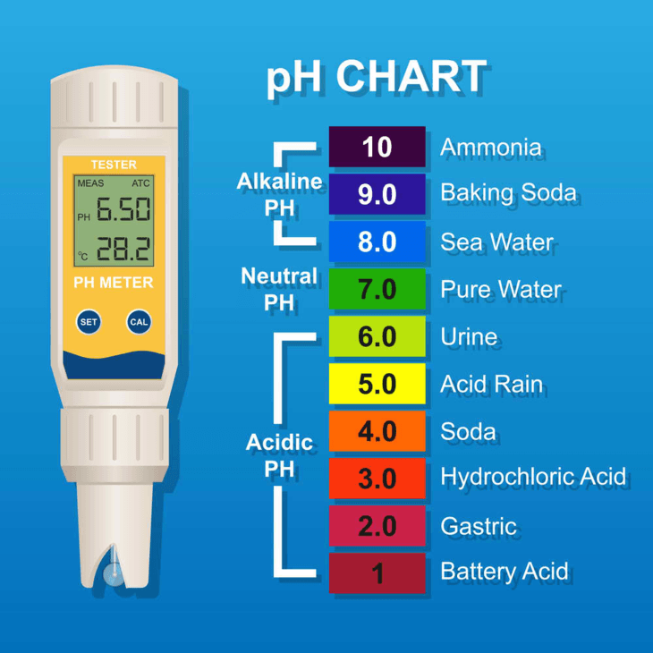 pH meters with high accuracy allows you to provide the right pH levels for your plants in a hydroponic setting.