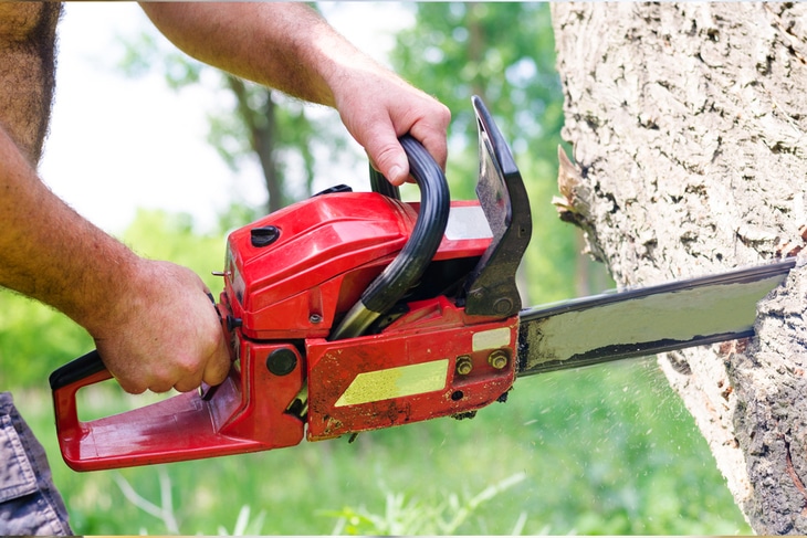 Chainsaws with a two-stroke engine are typically lighter and cheaper
