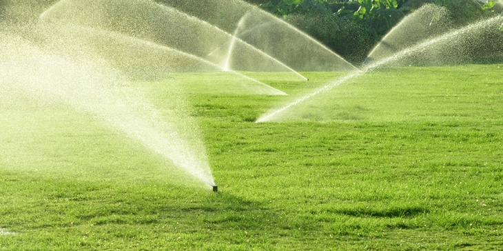 Conventional sprinklers are commonly utilized for yards while drip lines are ideal for garden beds