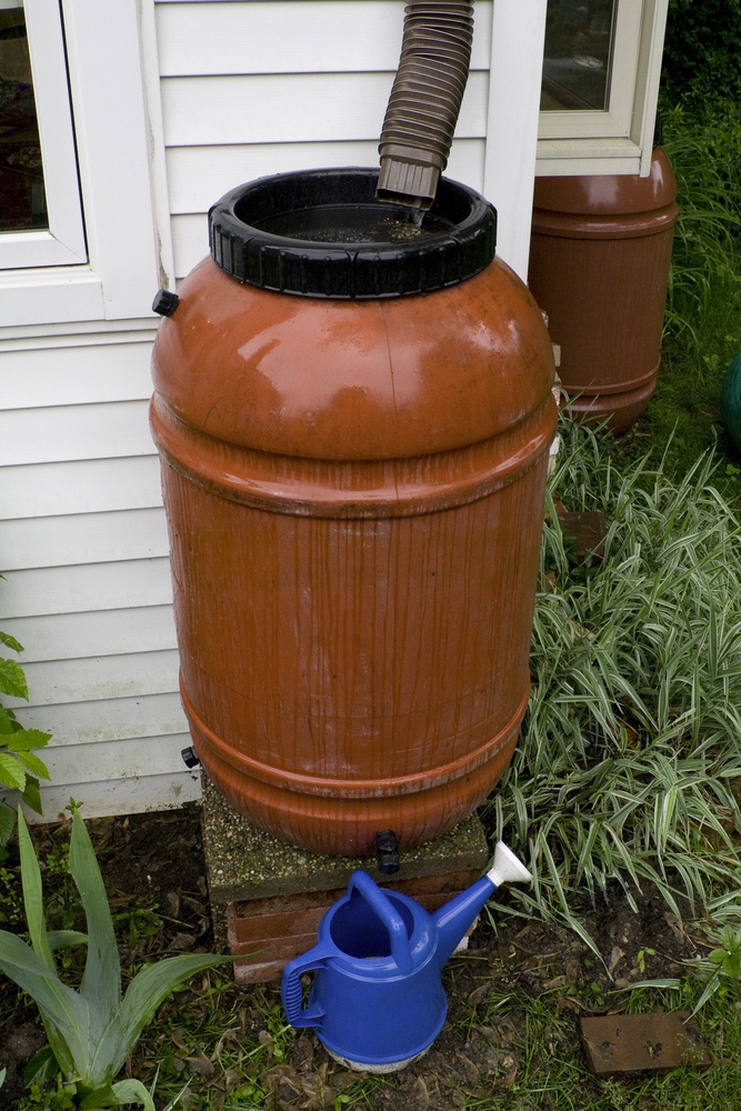 Rain barrels can be used to store rainwater