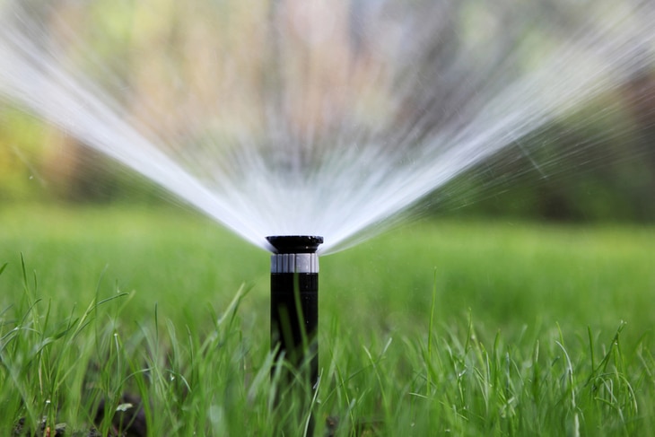Sprinklers can be the best solution for those who are tired of hand watering