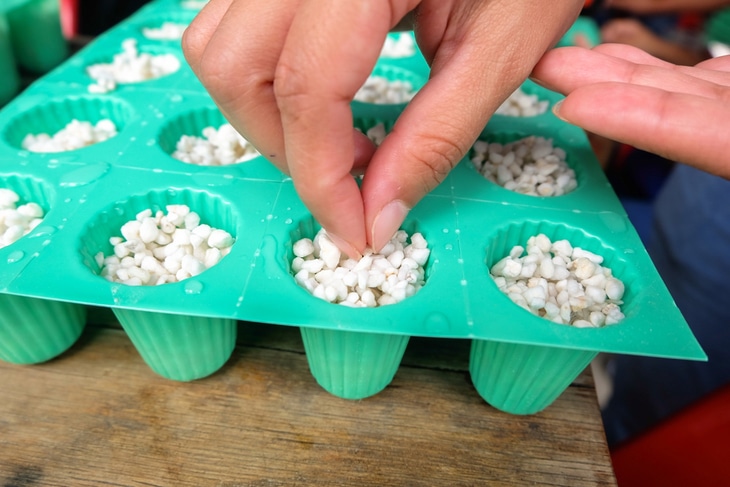 Starting seeds for hydroponics is a reliable way to achieve better harvest