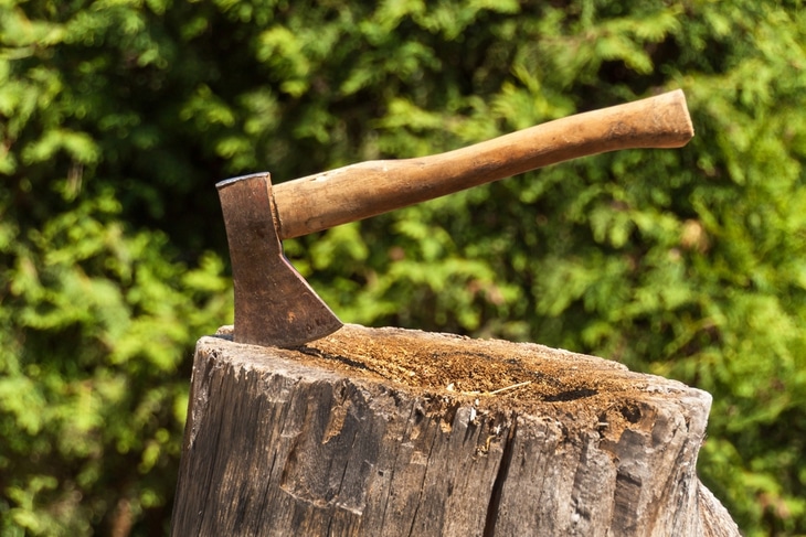 The hatchet axe is less powerful in a tree stump