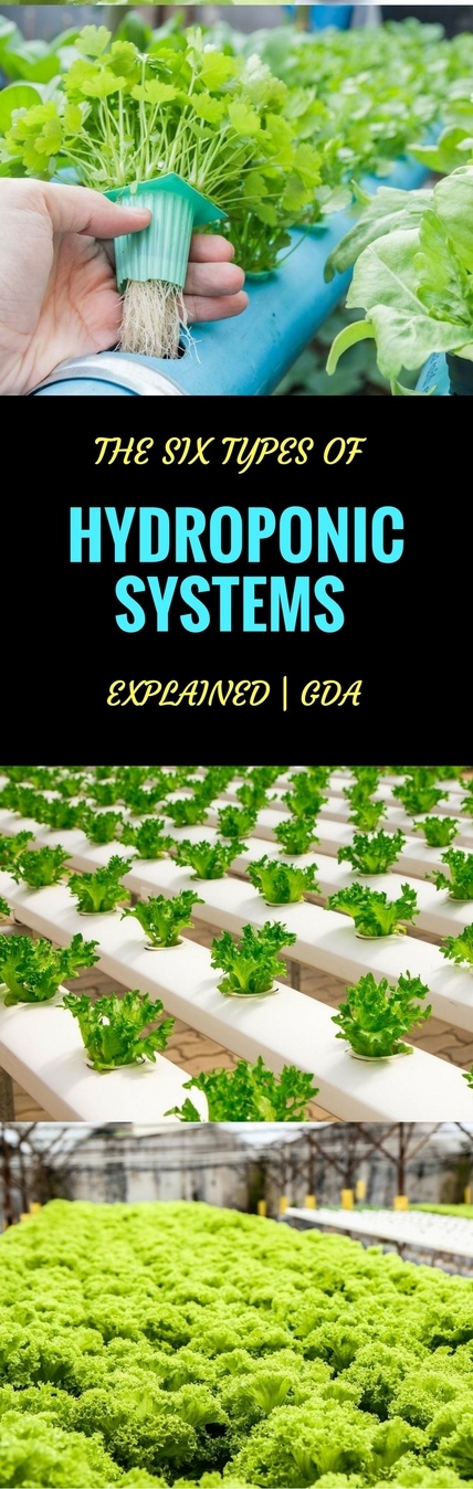 hydroponic systems pin it