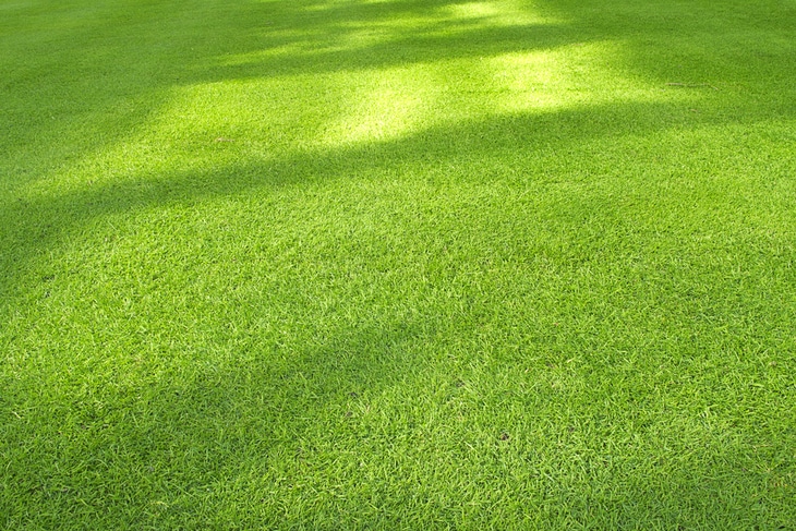 A zero turn mower can give you a perfectly mown lawn