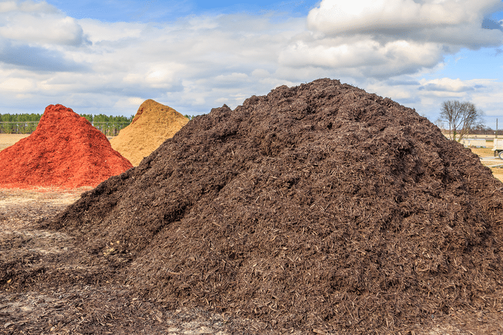 Mulch is one of the best types of fertilizer to use for your plants
