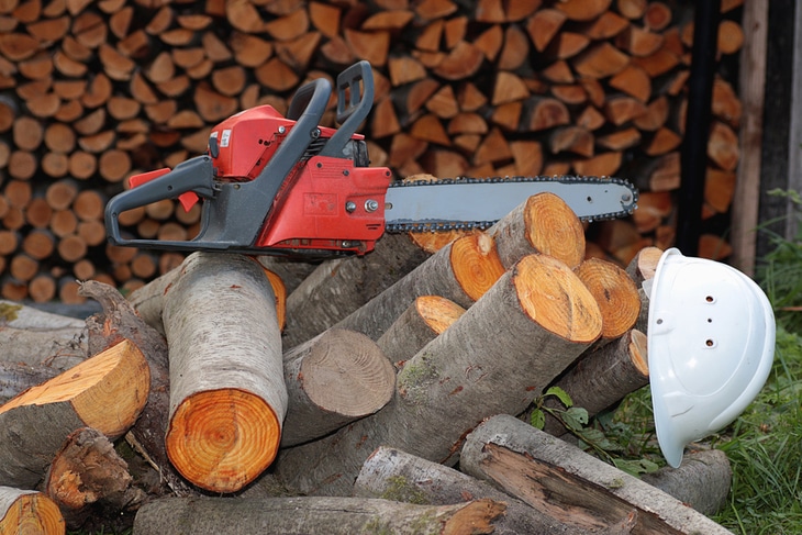 Stihl chainsaws are also popular in home use - Best Stihl Chainsaw For Cutting Firewood