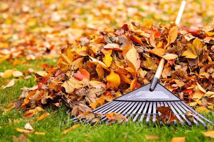 You can use a chipper shredder to clean up debris from the yard, especially during the fall season