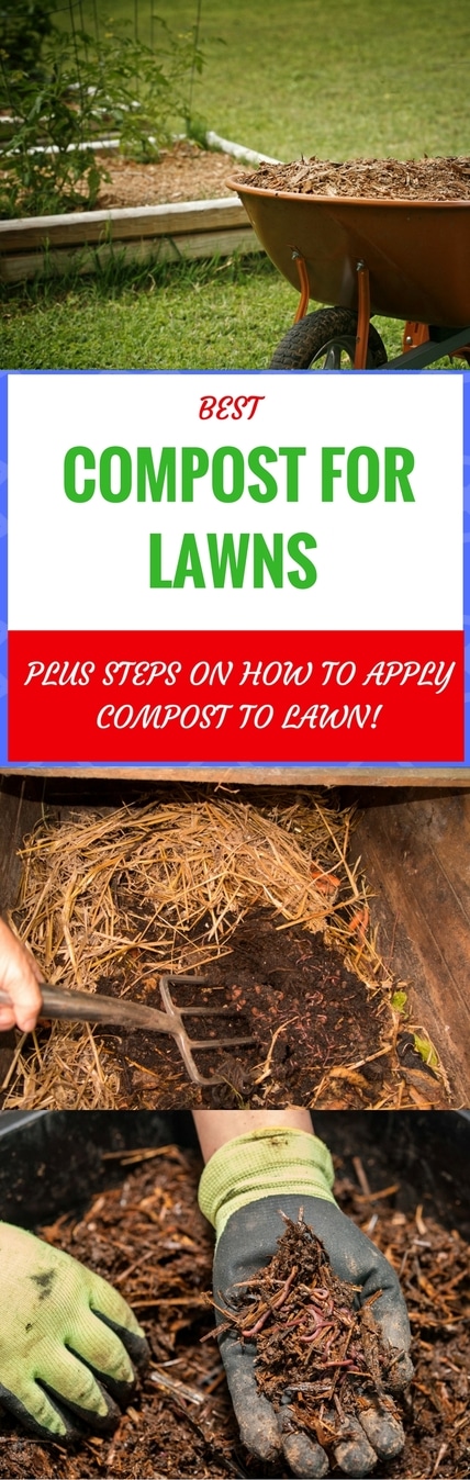 best compost for lawns pin it