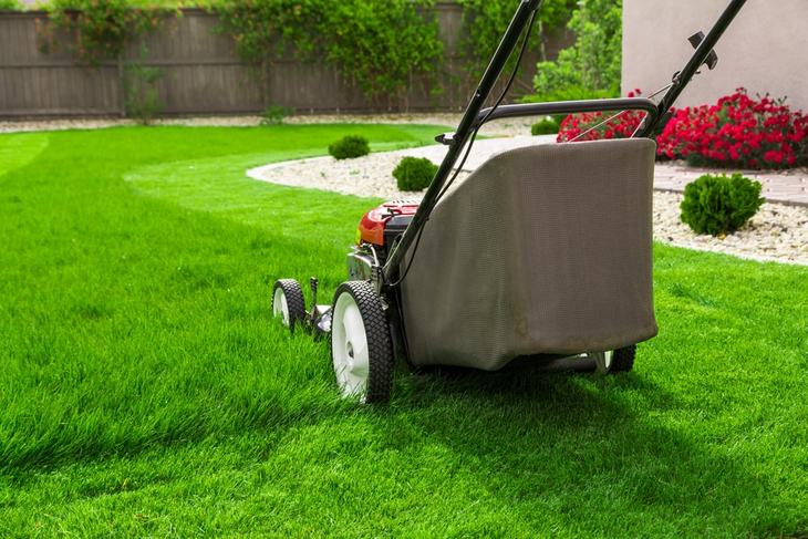 Moving the mower over the cut grass several times results in fine grass clippings