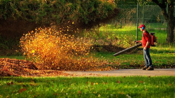 Powerful leaf blowers can sweep leaves quickly