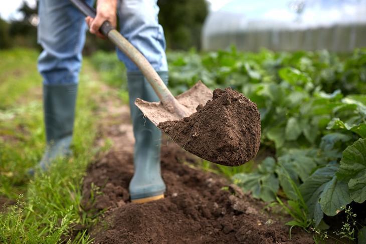 Manual digging in your garden can take overhauling months to complete but with augers, it can be cut down to days or weeks